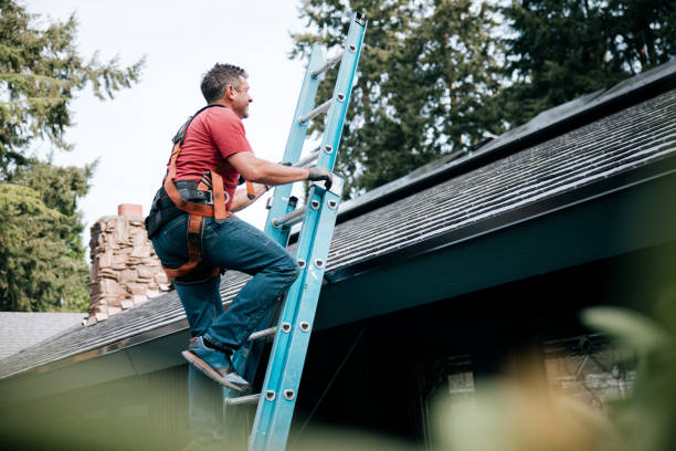 Roof Insulation Installation